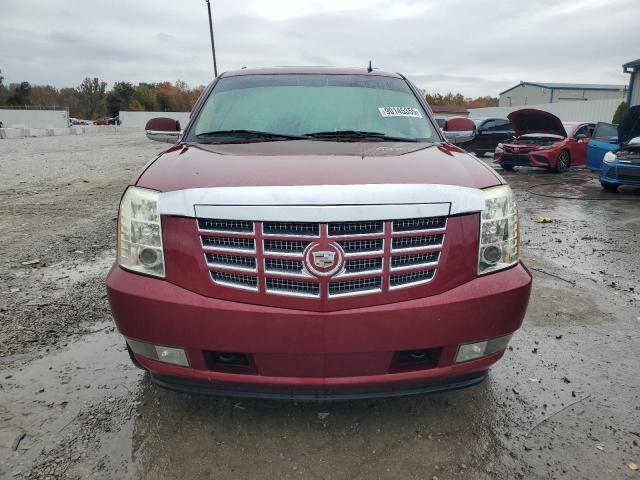 Photo 5 from auction – 2010 CADILLAC ESCALADE P with VIN 1GYUKCEF5AR209705