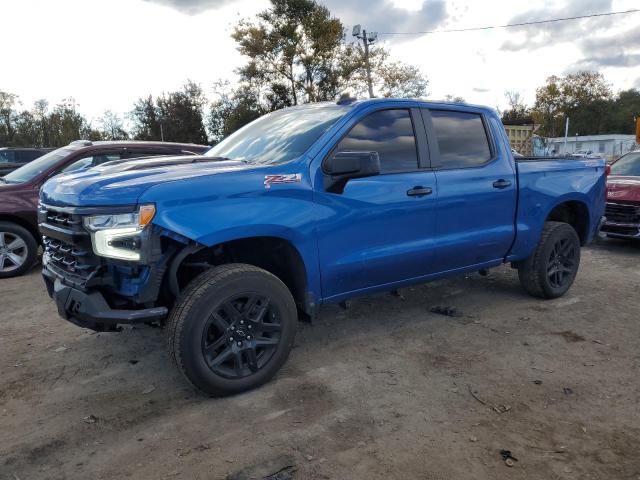 CHEVROLET SILVERADO 2023 with VIN 3GCUDFED1PG281106 - Photo from auction