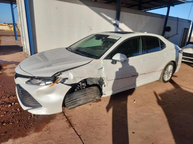 TOYOTA CAMRY XLE 2020 with VIN 4T1F31AK2LU523326 - Photo from auction