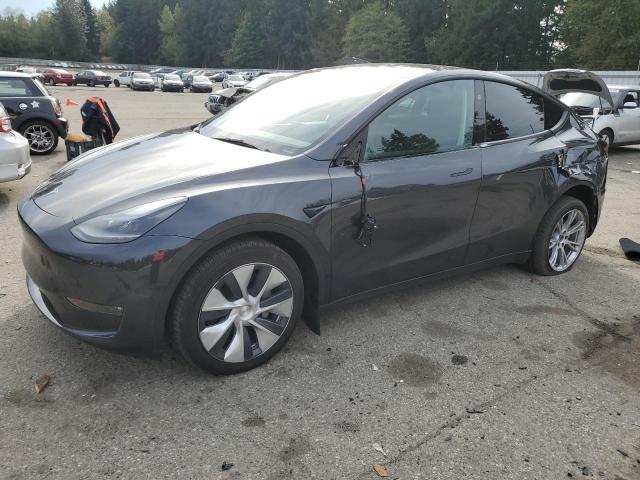 TESLA MODEL Y 2024 with VIN 7SAYGDEE4RF014530 - Photo from auction