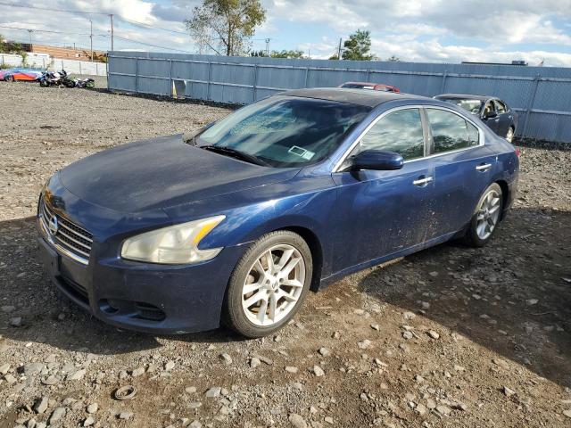 NISSAN MAXIMA S 2010 with VIN 1N4AA5AP1AC813895 - Photo from auction