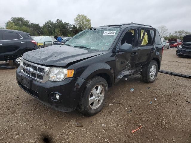 FORD ESCAPE XLT 2009 with VIN 1FMCU93G19KD03543 - Photo from auction
