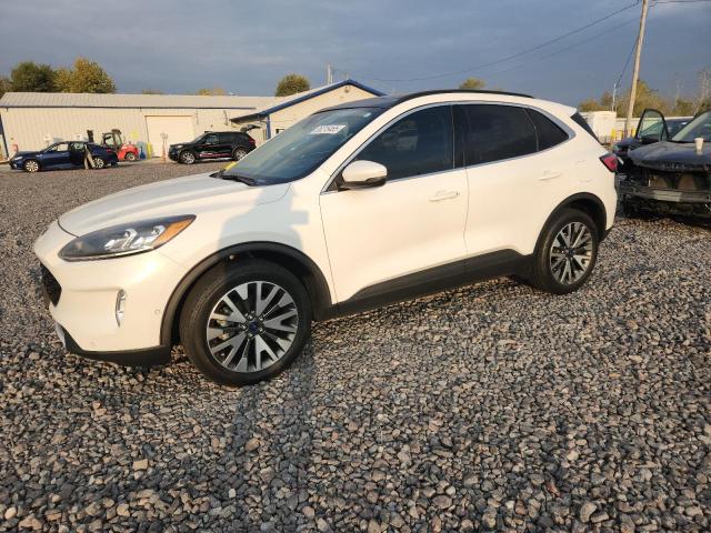 FORD ESCAPE TIT 2020 with VIN 1FMCU9DZ2LUA96091 - Photo from auction
