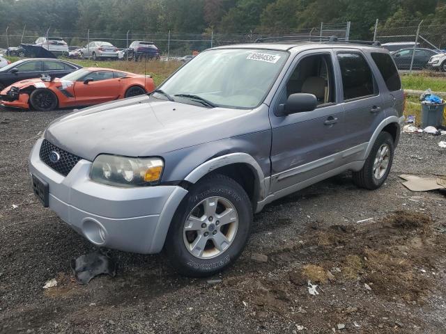 FORD ESCAPE XLT 2007 with VIN 1FMCU93137KA04323 - Photo from auction