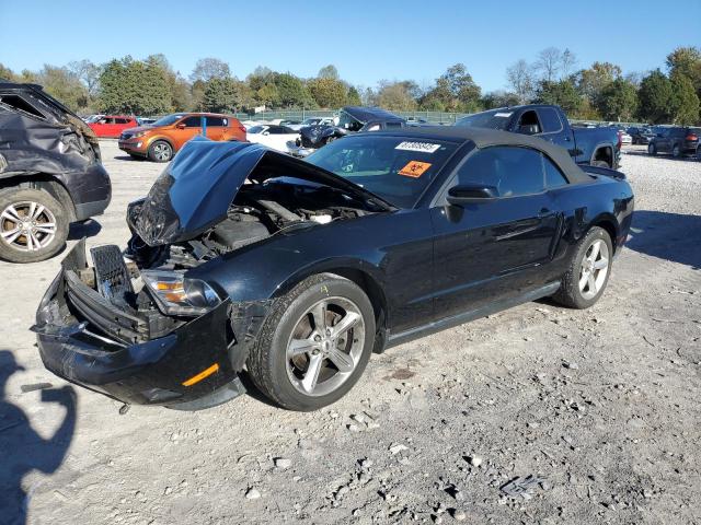 Photo 1 from auction – 2012 FORD MUSTANG with VIN 1ZVBP8EM0C5222296