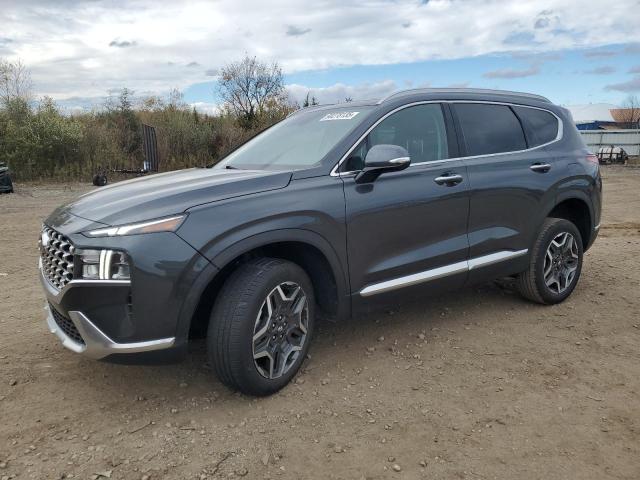 HYUNDAI SANTA FE S 2023 with VIN 5NMS3DA1XPH021446 - Photo from auction