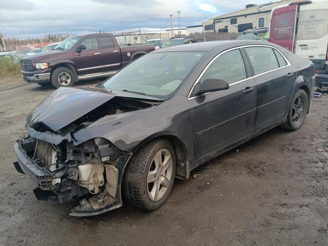 CHEVROLET MALIBU LS 2012 with VIN 1G1ZB5E09CF278557 - Photo from auction
