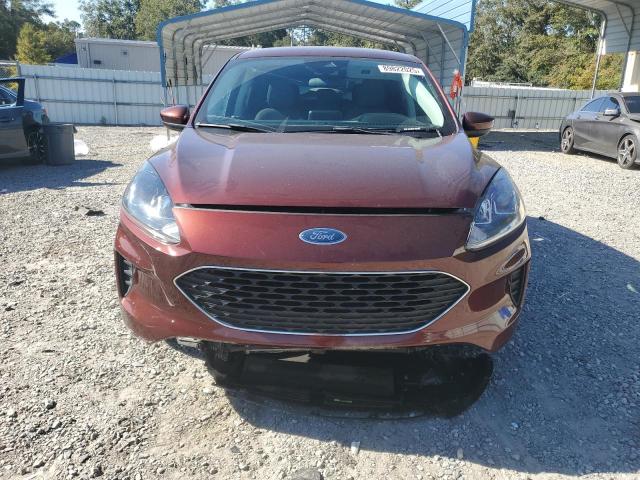 Photo 5 from auction – 2021 FORD ESCAPE SE with VIN 1FMCU9G63MUA35271