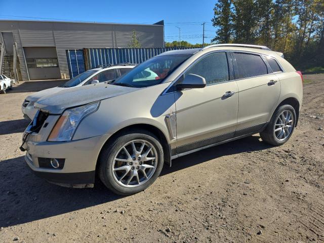 CADILLAC SRX PREMIU 2013 with VIN 3GYFNJE38DS541701 - Photo from auction