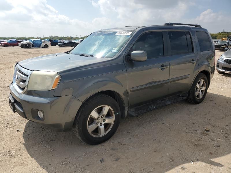 HONDA PILOT EXL 2009 with VIN 5FNYF38539B019899 - Photo from auction