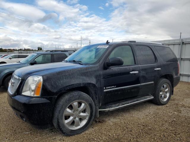 GMC YUKON DENA 2009 with VIN 1GKFK03219R134692 - Photo from auction