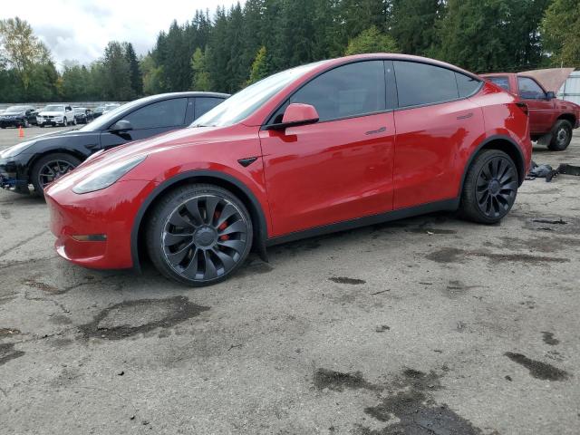 TESLA MODEL Y 2023 with VIN 7SAYGDEF8PF786311 - Photo from auction