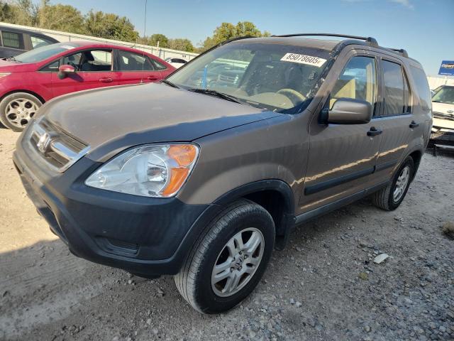HONDA CR-V EX 2003 with VIN JHLRD78843C033054 - Photo from auction
