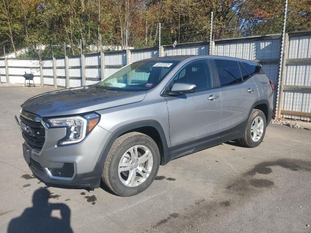 GMC TERRAIN SL 2024 with VIN 3GKALTEG0RL376883 - Photo from auction