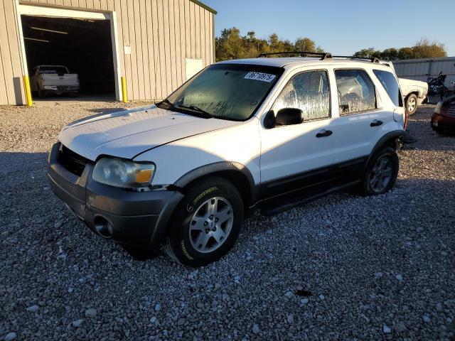 Photo 1 from auction – 2005 FORD ESCAPE XLT with VIN 1FMYU93135KA90672