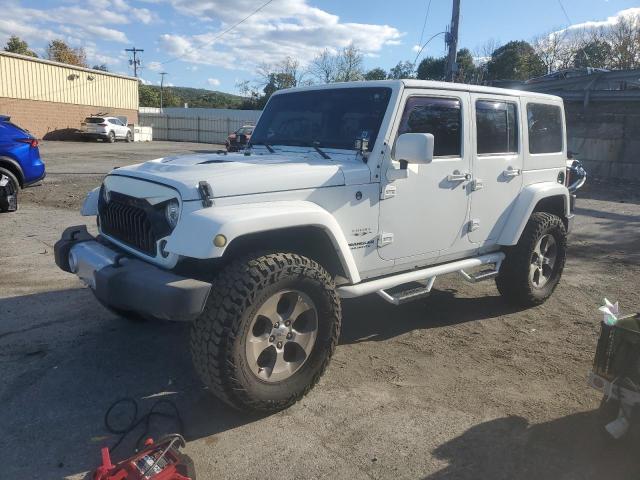 JEEP WRANGLER U 2017 with VIN 1C4BJWEG2HL726354 - Photo from auction