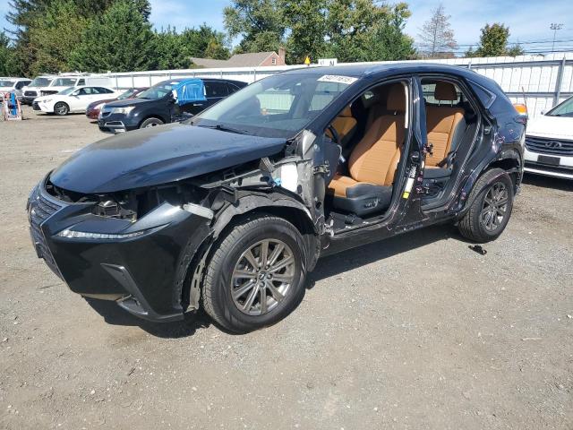 LEXUS NX 300 BAS 2021 with VIN JTJDARDZ0M2241088 - Photo from auction