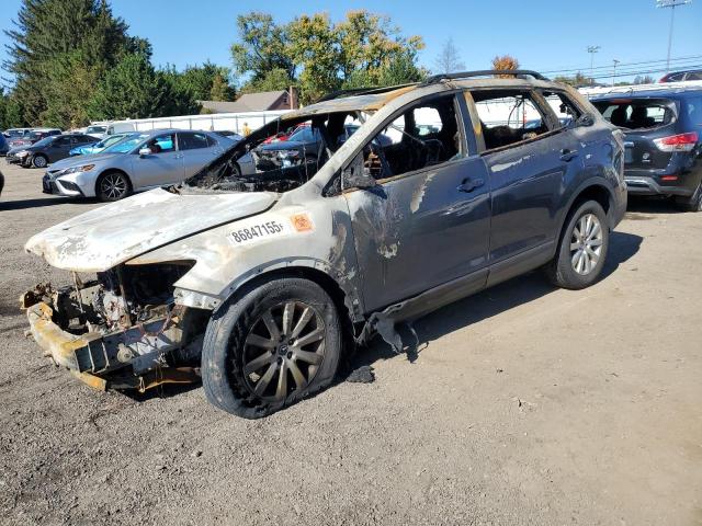 MAZDA CX-9 2010 with VIN JM3TB3MV9A0235214 - Photo from auction