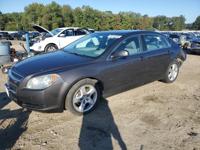 CHEVROLET MALIBU LS 2011 with VIN 1G1ZB5E18BF287905 - Photo from auction