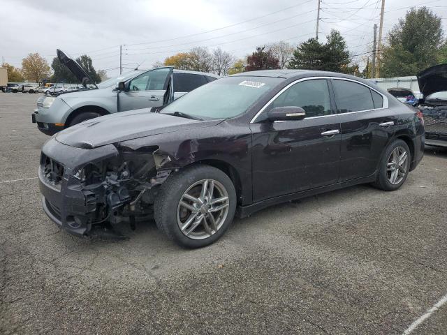 Photo 1 from auction – 2010 NISSAN MAXIMA S with VIN 1N4AA5AP6AC802617