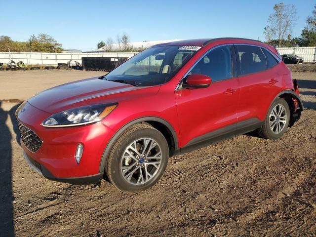 FORD ESCAPE SEL 2020 with VIN 1FMCU9H68LUC35902 - Photo from auction