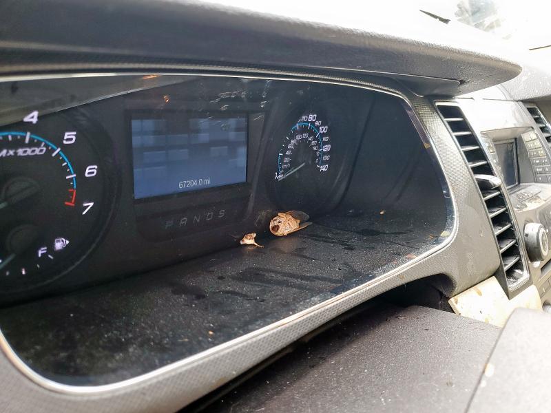 Photo 9 from auction – 2019 FORD TAURUS SE with VIN 1FAHP2D8XKG100942