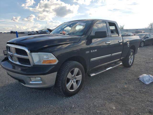DODGE RAM 1500 2009 with VIN 1D3HV18T59S769224 - Photo from auction