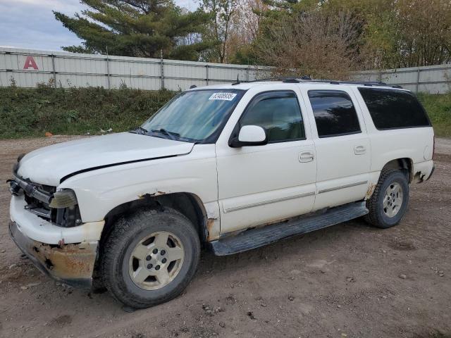 CHEVROLET SUBURBAN K 2004 with VIN 1GNFK16TX4J151804 - Photo from auction