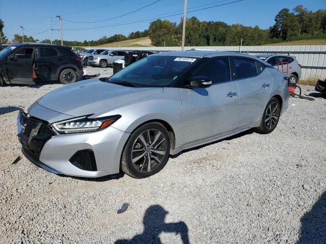 NISSAN MAXIMA SV 2023 with VIN 1N4AA6CV1PC510285 - Photo from auction
