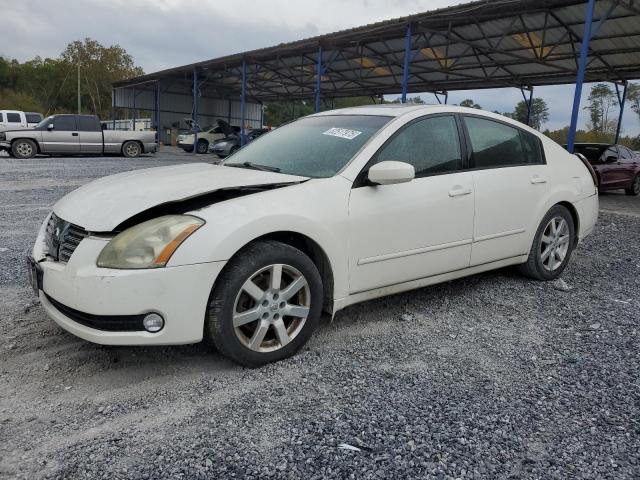 NISSAN MAXIMA SE 2005 with VIN 1N4BA41E35C878041 - Photo from auction