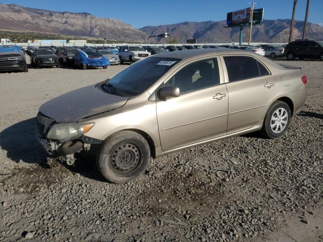 TOYOTA COROLLA BA 2009 with VIN 1NXBU40E89Z046581 - Photo from auction