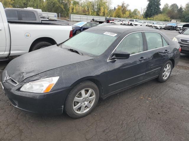 HONDA ACCORD EX 2005 with VIN 1HGCM66515A016282 - Photo from auction