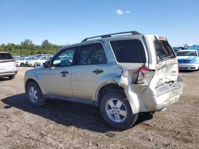 Photo 2 from auction – 2010 FORD ESCAPE XLT with VIN 1FMCU0DG6AKA77742