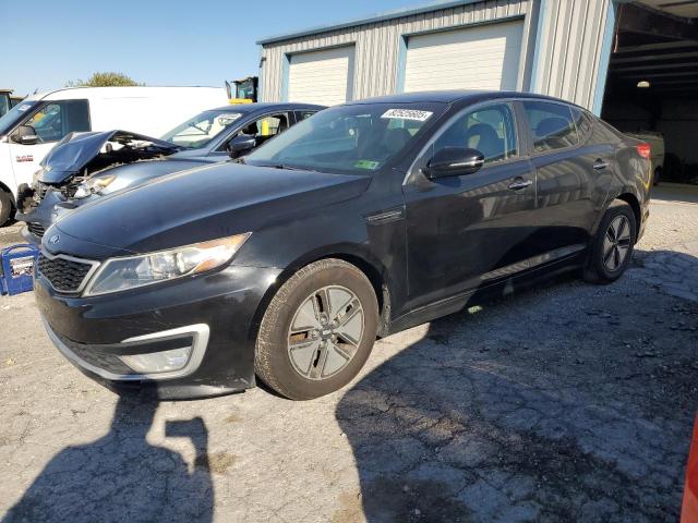 KIA OPTIMA HYB 2011 with VIN KNAGM4AD2B5007868 - Photo from auction
