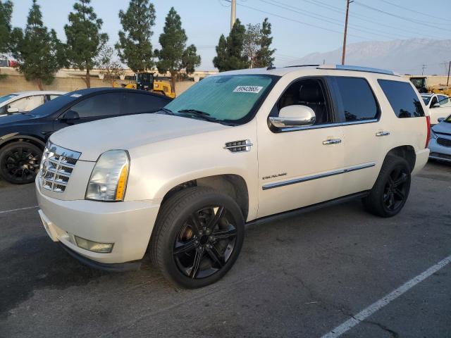 CADILLAC ESCALADE P 2010 with VIN 1GYUCCEF7AR138309 - Photo from auction