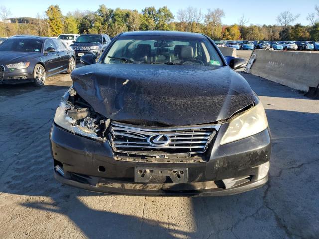 Photo 5 from auction – 2010 LEXUS ES 350 with VIN JTHBK1EG0A2411269