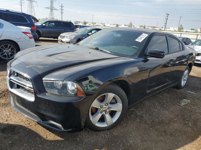 DODGE CHARGER 2014 with VIN 2C3CDXBG3EH347818 - Photo from auction
