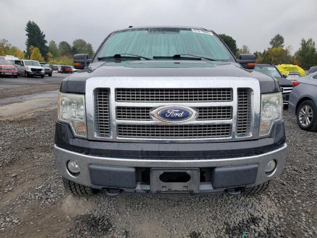 Photo 5 from auction – 2010 FORD F150 SUPER with VIN 1FTFW1EV4AFA13769