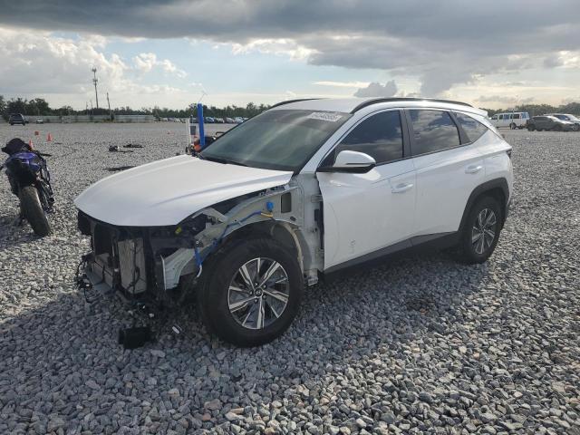 HYUNDAI TUCSON BLU 2023 with VIN KM8JBCA15PU087545 - Photo from auction