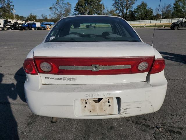 Photo 6 from auction – 2003 CHEVROLET CAVALIER with VIN 1G1JC52F737235753