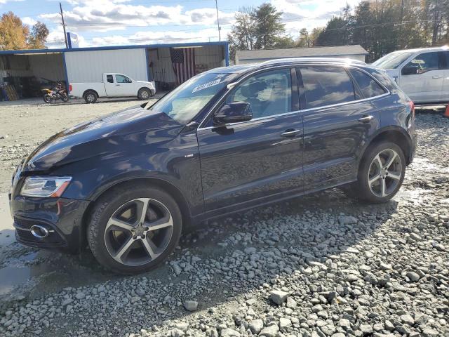 AUDI Q5 PREMIUM 2016 with VIN WA1D7AFP6GA071967 - Photo from auction