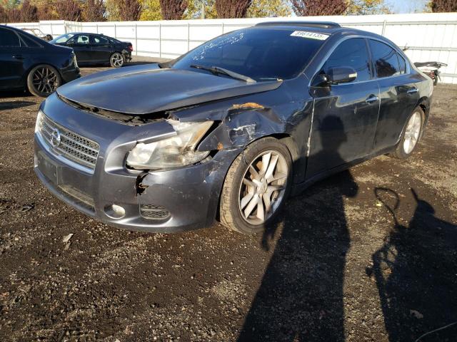 NISS MAXIMA 2010 with VIN 1N4AA5AP6AC870433 - Photo from auction