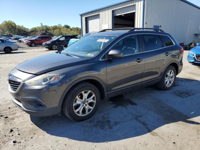 MAZDA CX-9 SPORT 2013 with VIN JM3TB3BA5D0420459 - Photo from auction