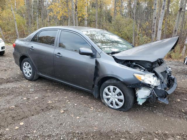 Photo 4 from auction – 2010 TOYOTA COROLLA BA with VIN 2T1BU4EE9AC246965