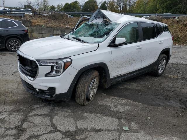 GMC TERRAIN SL 2022 with VIN 3GKALTEV2NL145394 - Photo from auction