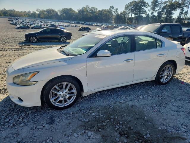 NISSAN MAXIMA S 2011 with VIN 1N4AA5AP8BC825320 - Photo from auction