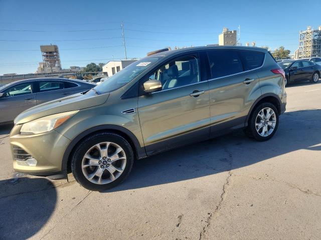 FORD ESCAPE SEL 2013 with VIN 1FMCU0HX8DUA75056 - Photo from auction