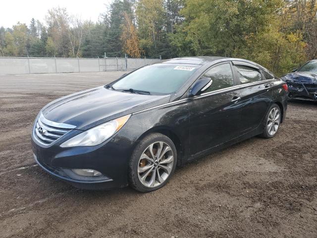 HYUNDAI SONATA SE 2014 with VIN 5NPEC4AC1EH871318 - Photo from auction