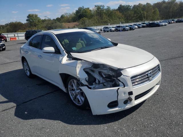 Photo 4 from auction – 2010 NISSAN MAXIMA S with VIN 1N4AA5AP4AC811266
