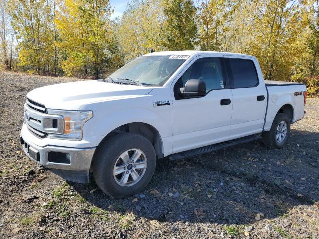 FORD F150 SUPER 2019 with VIN 1FTEW1EP3KFD19926 - Photo from auction